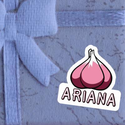 Sticker Garlic clove Ariana Notebook Sticker Garlic clove Ariana Gift package Image