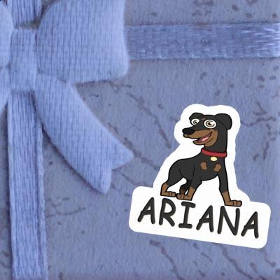 Autocollant Pinscher Ariana Notebook Image