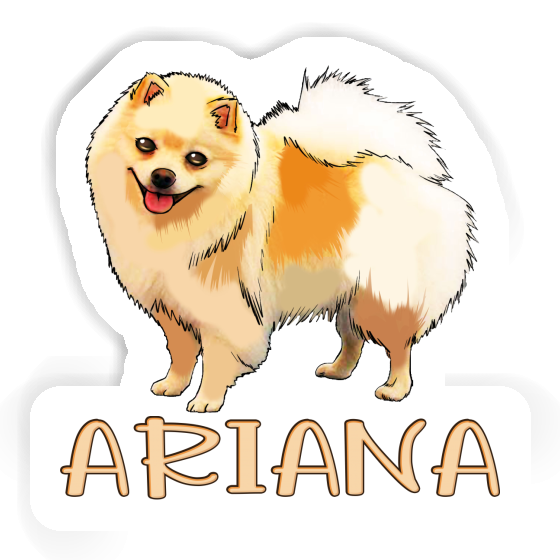 Ariana Sticker Deutsche Spitze Notebook Ariana Sticker Deutsche Spitze Gift package Image