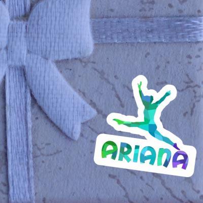 Aufkleber Ariana Gymnastin Notebook Aufkleber Ariana Gymnastin Gift package Image
