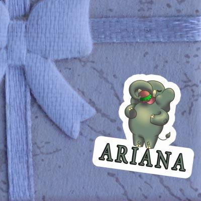 Ariana Autocollant Éléphant Notebook Ariana Autocollant Éléphant Gift package Image