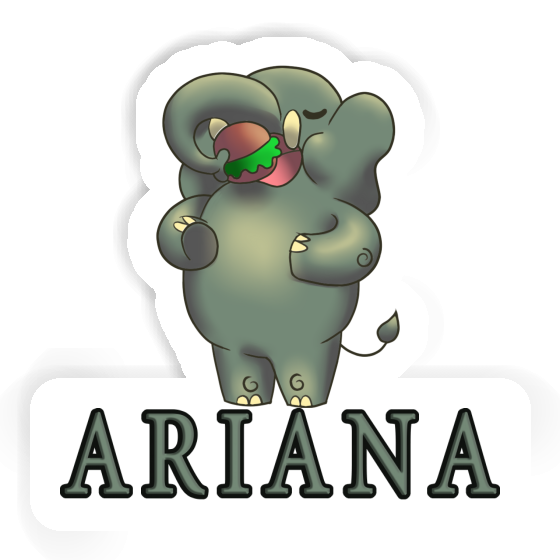 Ariana Autocollant Éléphant Notebook Ariana Autocollant Éléphant Gift package Image
