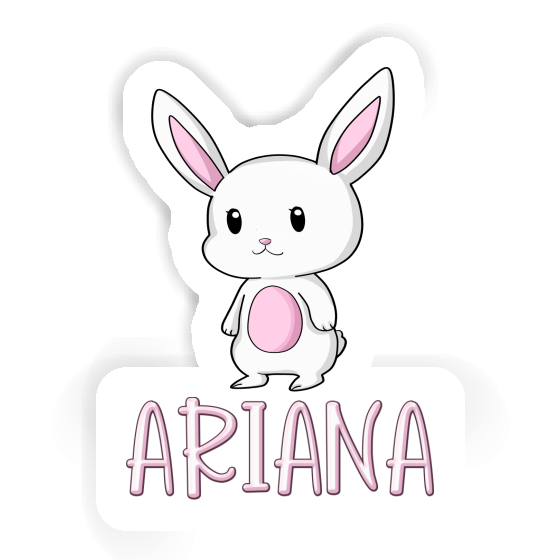 Ariana Autocollant Lapin Notebook Ariana Autocollant Lapin Gift package Image