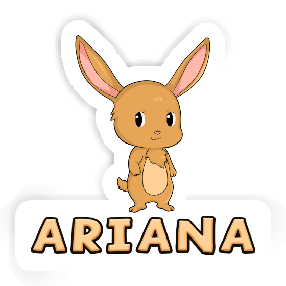 Lapin Autocollant Ariana Gift package Image