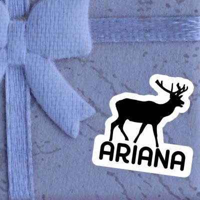 Autocollant Ariana Cerf Gift package Image