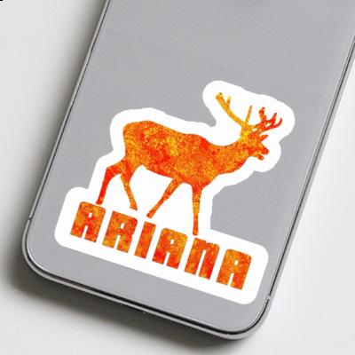 Sticker Ariana Hirsch Gift package Image