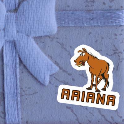Autocollant Ariana Cheval Notebook Image