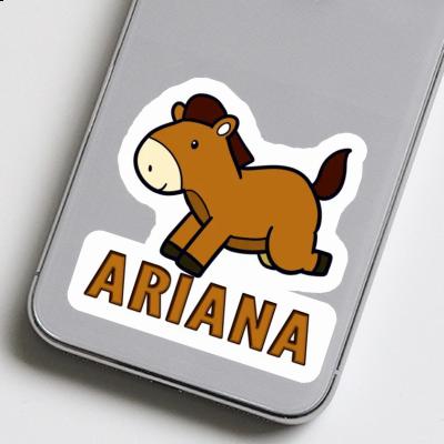 Horse Sticker Ariana Gift package Image