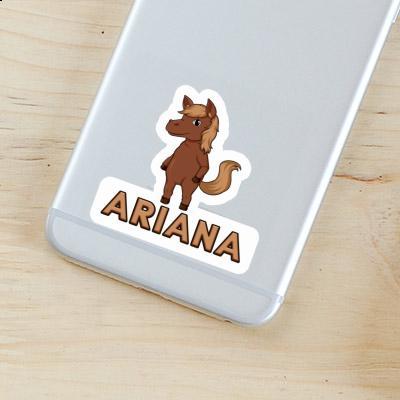 Autocollant Ariana Cheval Notebook Autocollant Ariana Cheval Gift package Image