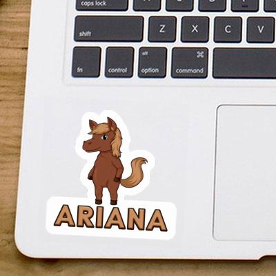 Horse Sticker Ariana Gift package Image