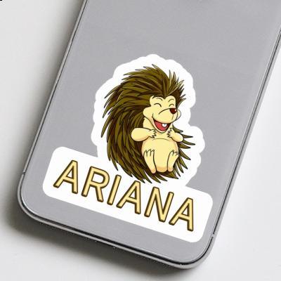 Aufkleber Ariana Igel Notebook Aufkleber Ariana Igel Gift package Image