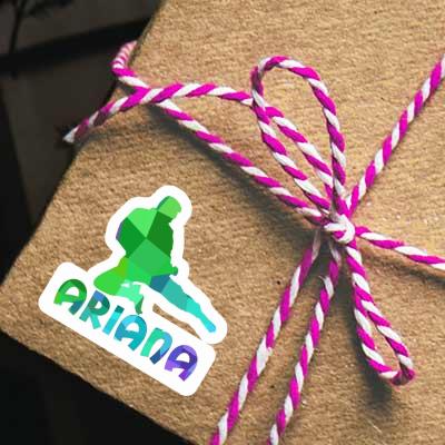 Sticker Ariana Karateka Notebook Image
