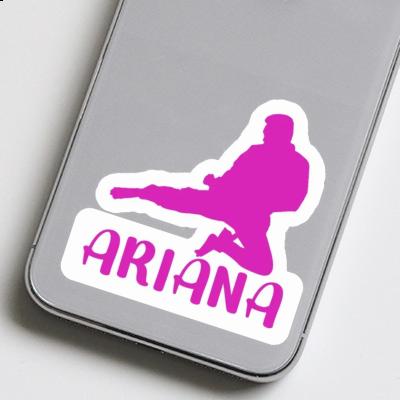 Karatéka Autocollant Ariana Notebook Karatéka Autocollant Ariana Gift package Image