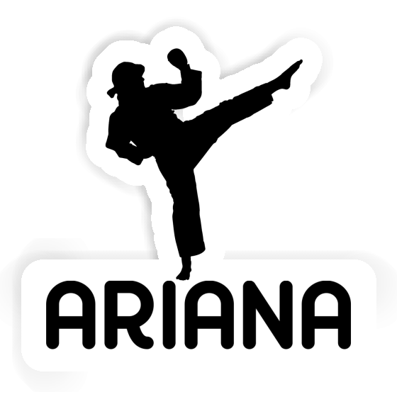 Ariana Sticker Karateka Notebook Ariana Sticker Karateka Gift package Image