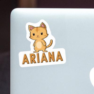 Sticker Ariana Cat Sticker Ariana Cat Image