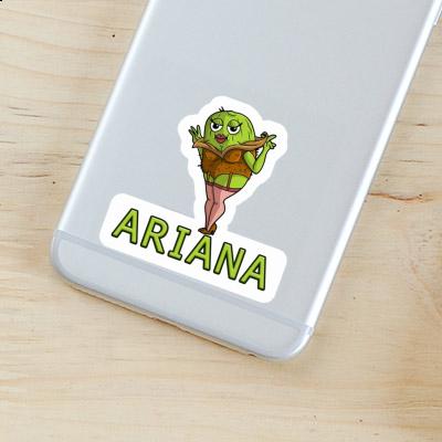 Kiwi Autocollant Ariana Image