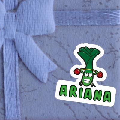 Ariana Sticker Gewichtheber Notebook Ariana Sticker Gewichtheber Gift package Image