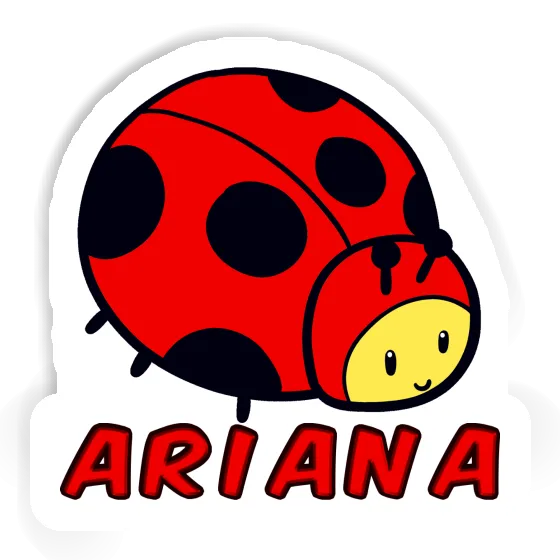 Aufkleber Ariana Marienkäfer Laptop Aufkleber Ariana Marienkäfer Laptop Image