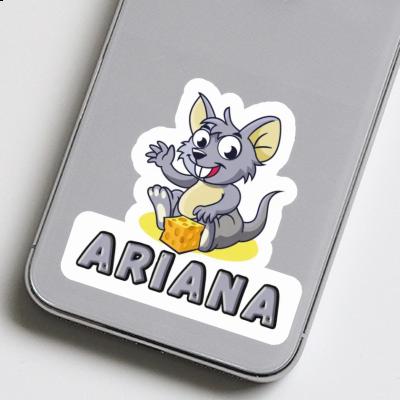 Maus Aufkleber Ariana Notebook Maus Aufkleber Ariana Gift package Image