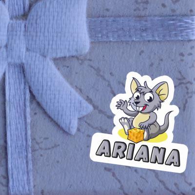 Maus Aufkleber Ariana Notebook Maus Aufkleber Ariana Gift package Image