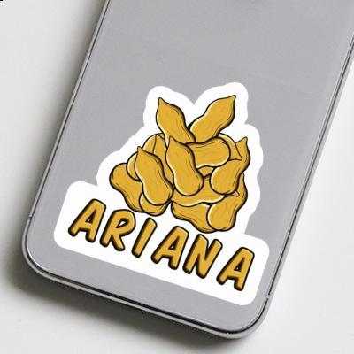 Nuss Sticker Ariana Laptop Nuss Sticker Ariana Laptop Image