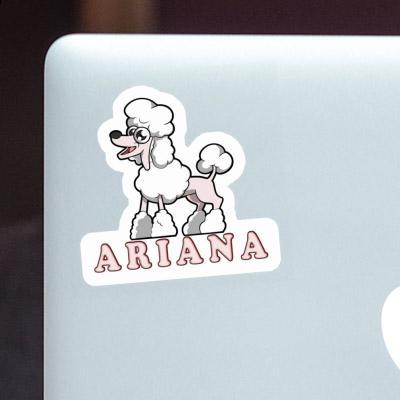 Aufkleber Ariana Pudel Notebook Aufkleber Ariana Pudel Notebook Image