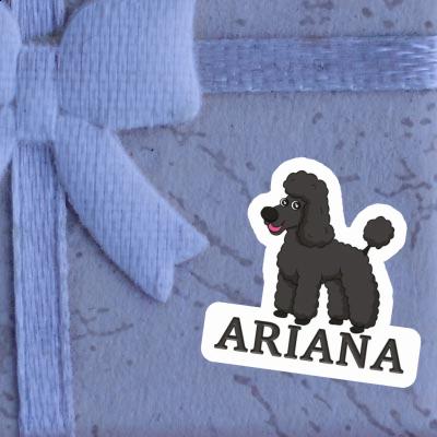 Sticker Poodle Ariana Sticker Poodle Ariana Image