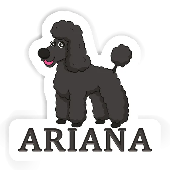 Sticker Pudel Ariana Notebook Image