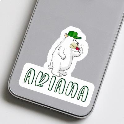 Eisbär Aufkleber Ariana Notebook Eisbär Aufkleber Ariana Gift package Image
