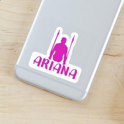 Autocollant Gymnaste aux anneaux Ariana Notebook Autocollant Gymnaste aux anneaux Ariana Gift package Image