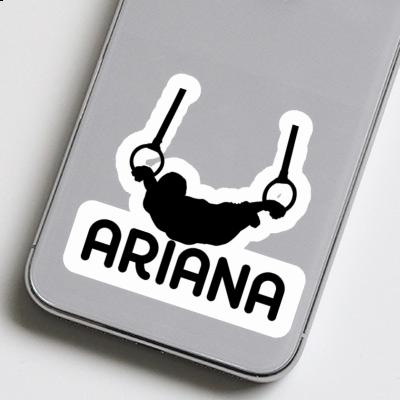 Aufkleber Ariana Ringturner Notebook Aufkleber Ariana Ringturner Notebook Image