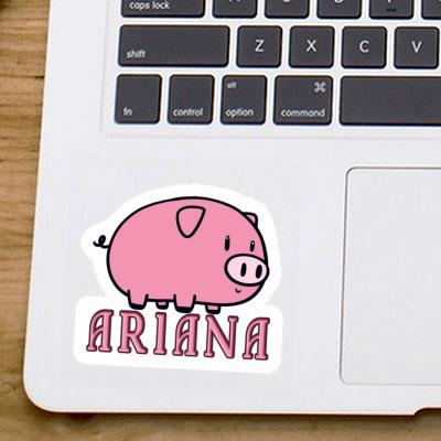 Cochon Autocollant Ariana Notebook Cochon Autocollant Ariana Gift package Image