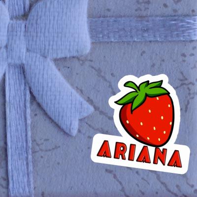 Ariana Autocollant Fraise Notebook Ariana Autocollant Fraise Gift package Image