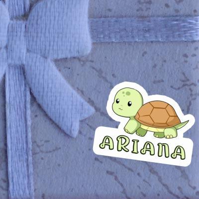 Schildkröte Sticker Ariana Laptop Image