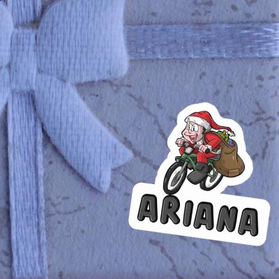 Velofahrer Aufkleber Ariana Notebook Velofahrer Aufkleber Ariana Gift package Image