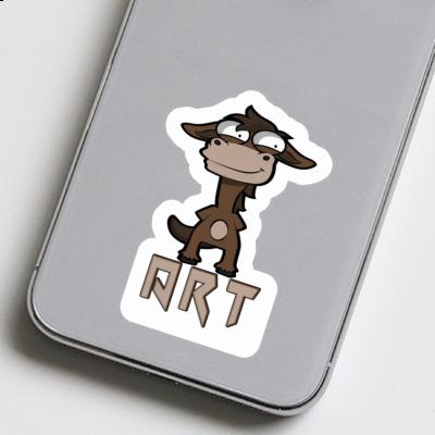 Sticker Art Horse Notebook Sticker Art Horse Gift package Image