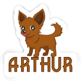 Sticker Chihuahua Arthur Image