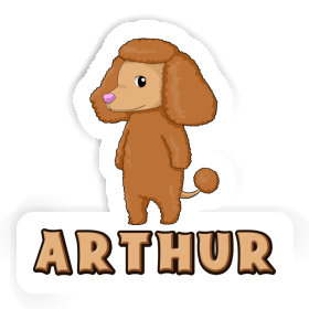 Sticker Poodle Arthur Image