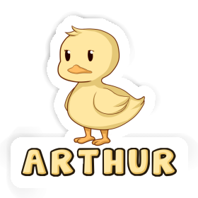 Duck Sticker Arthur Image