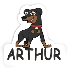 Sticker Pinscher Arthur Image