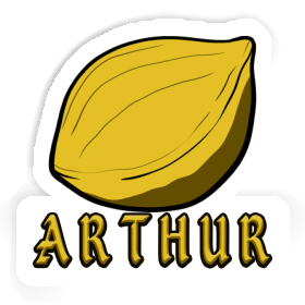 Arthur Sticker Nut Image