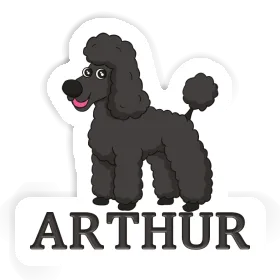 Sticker Arthur Poodle Image