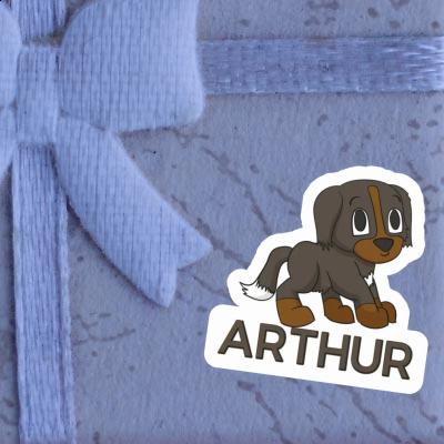 Arthur Sticker Bernese Mountain Dog Gift package Image