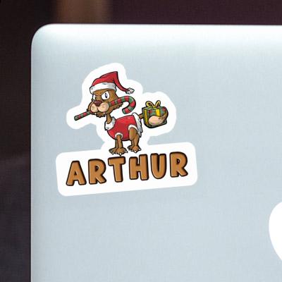 Sticker Christmas Cat Arthur Gift package Image