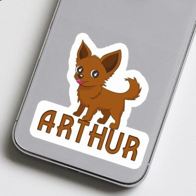 Arthur Autocollant Chihuahua Gift package Image