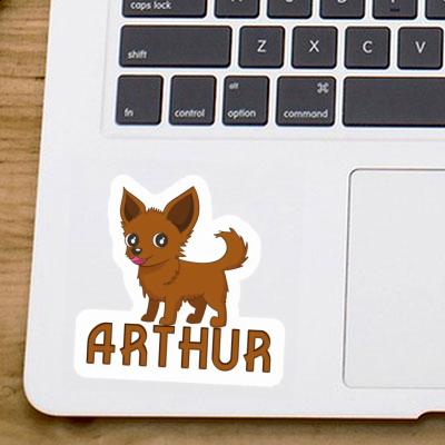 Sticker Chihuahua Arthur Laptop Image