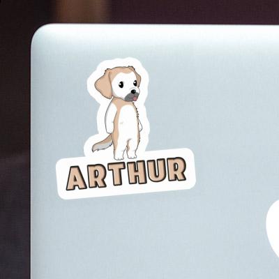 Sticker Golden Retriever Arthur Image