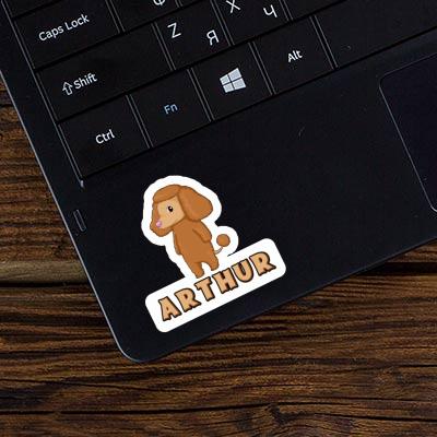 Sticker Poodle Arthur Gift package Image