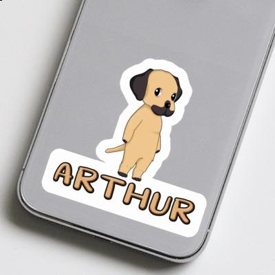 Autocollant Rhodesian Ridgeback Arthur Gift package Image