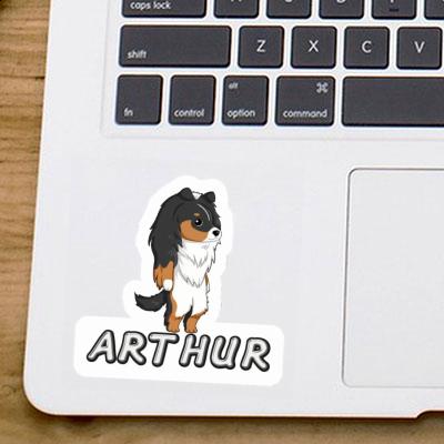 Sheltie Sticker Arthur Image